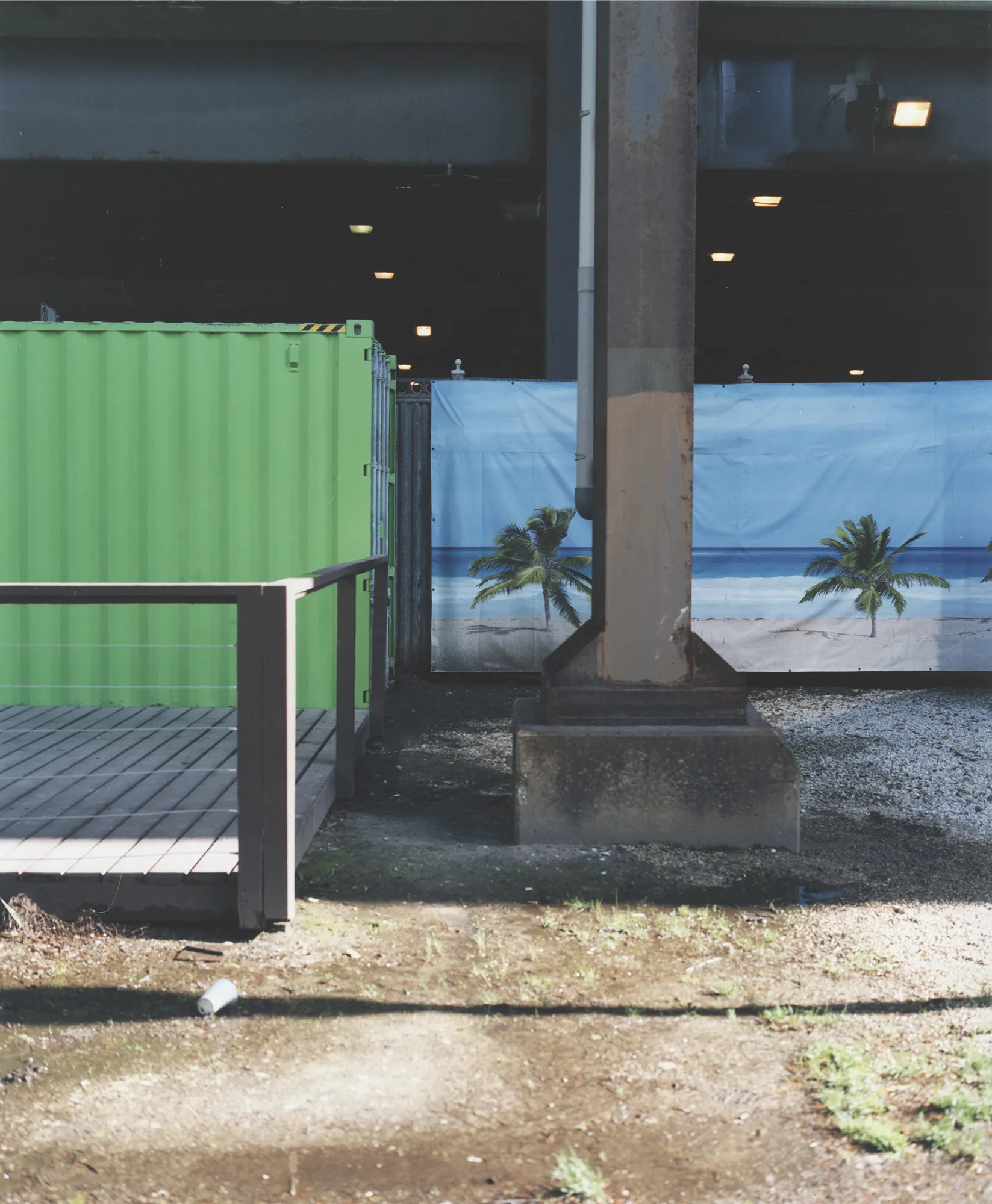 Thumbnail for Palm Trees Are Noise