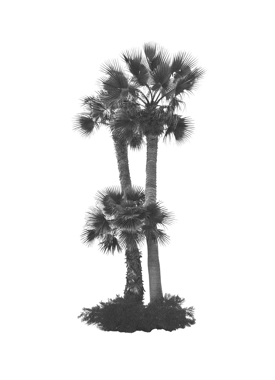 Generated Palm Tree 02
