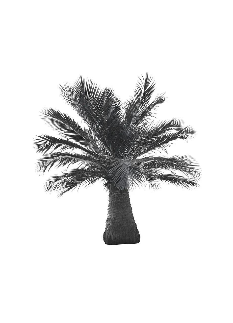 Generated Palm Tree 07