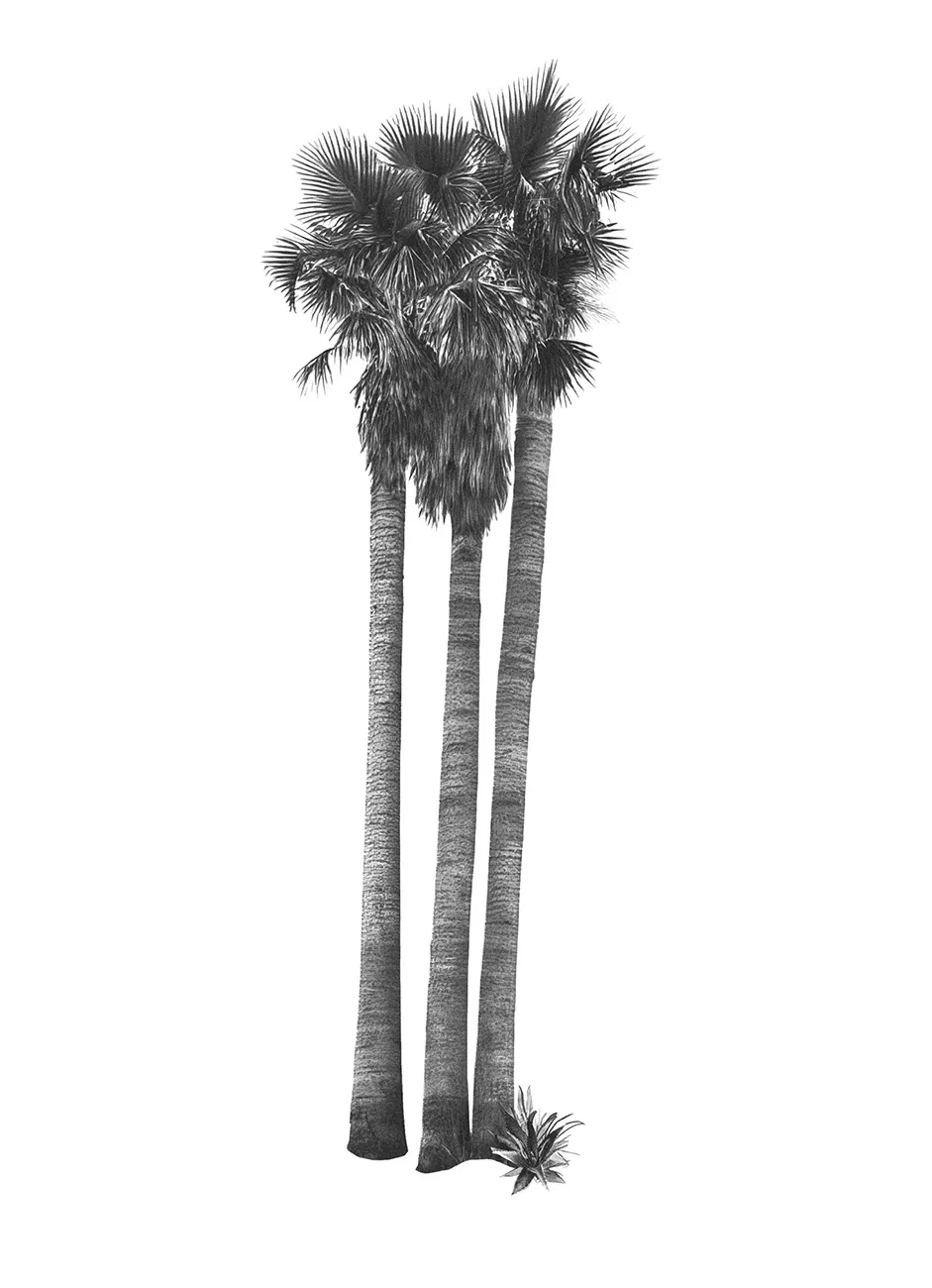 Generated Palm Tree 12