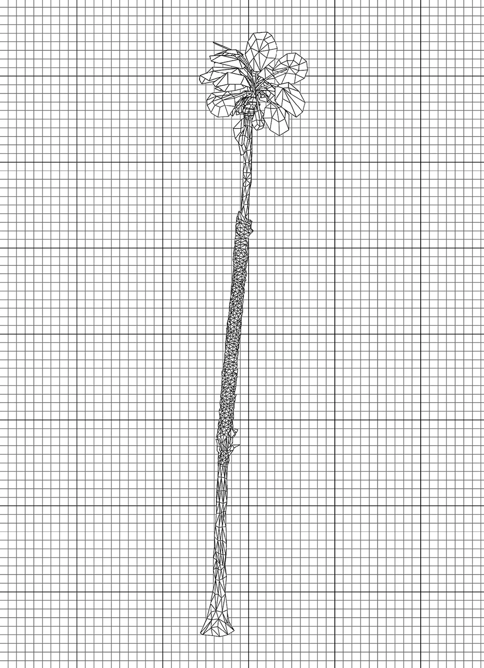 Generic Palm Tree 15