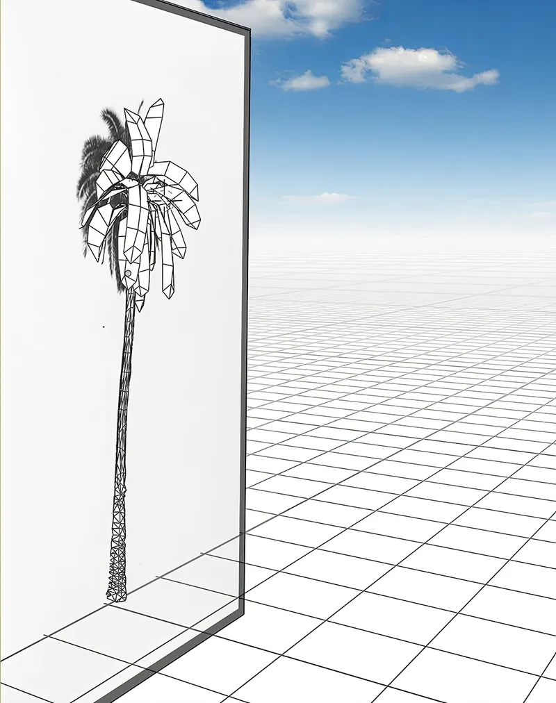 Palm Trees Are Noise