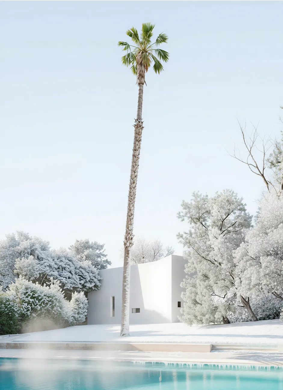 404 | Palm at Pool 15