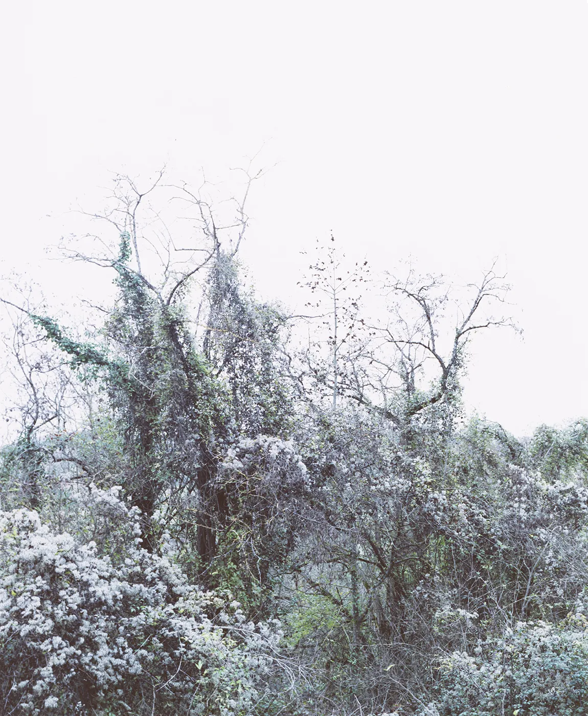 Saint Pastour 01 portrait-format